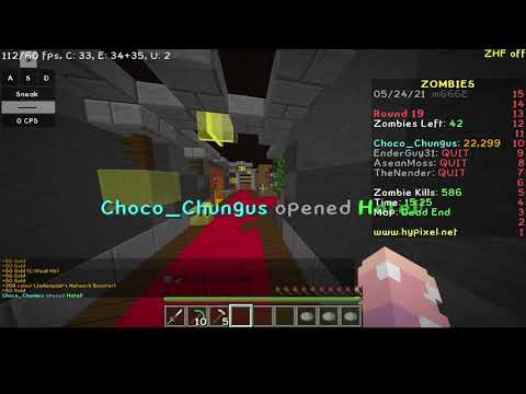 Hypixel Zombies Dead End- Solo WR (27:01)