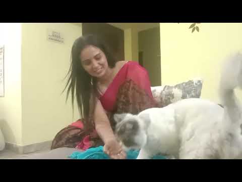 actress vilasini # shorts