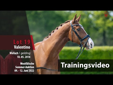 Sommer-Auktion Training Lot 19 Valentino  Wallach v. Veneziano - Londonderry