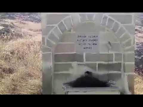 YENİYOLKÖYÜ KAVAKLI MAHALLESİ ŞAZİYE ANNE ÇEŞMESİ