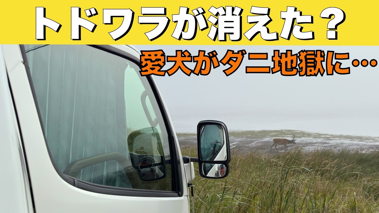 北海道車中泊旅「トドワラが消えた？変わり果てた野付半島の今と、過酷な愛犬チェック」の巻【2025 VLOG #23】 愛犬と車中泊｜50代夫婦のキャンピングカー旅｜くるま旅｜レガードネオプラス