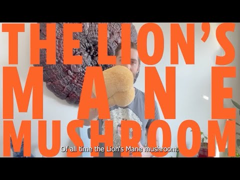 Lion’s Mane Mushroom: Unlocking Its Powerful Medicinal Benefits!