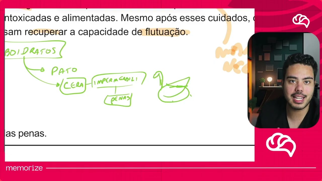 Resolução em Vídeo — Questão 104 ENEM 2020