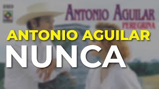 Nunca Lyrics English Translation