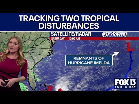 Tracking two tropical disturbances