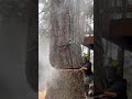 IMG 7685