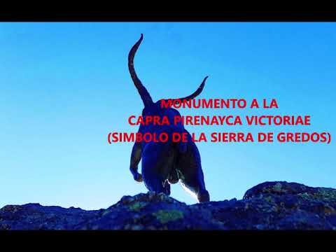 D 434 Hoyos del Espino Puente Duque Hoyos del Collado Hoyos del Espino