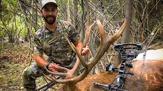 Spot and Stalk Hunting for a Kentucky Bull Elk - First Time Elk Hunter!