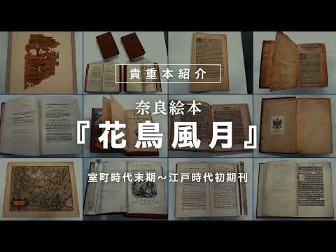 言語文化学科 【奈良大学】図書館 貴重本紹介「奈良絵本『花鳥風月』」
