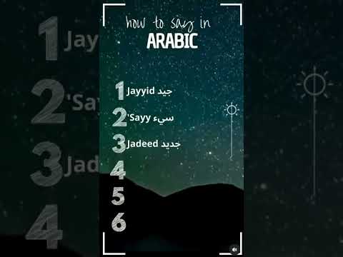 Learn Arabic from scratch | Lesson 1 | contact number in description