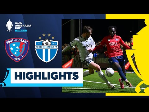 bg-highlight