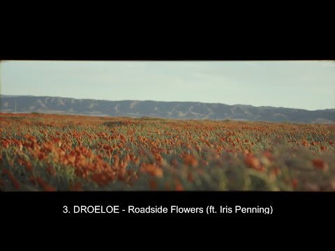 Top 20 Best Dance/EDM Songs of November 7, 2020