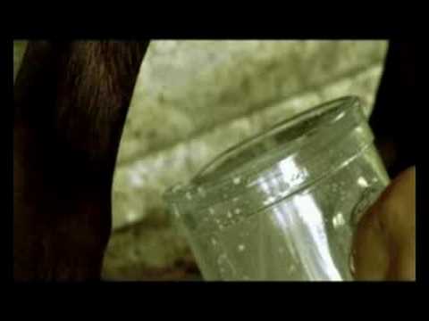 Roberto Molinaro concept of Cantine Garruto - Felicidad - OFFICIAL VIDEOCLIP