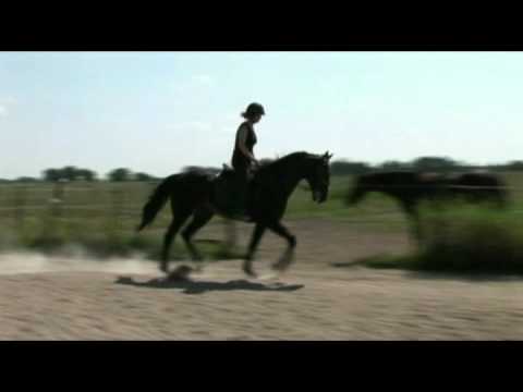 1060 Steen Juul del 2