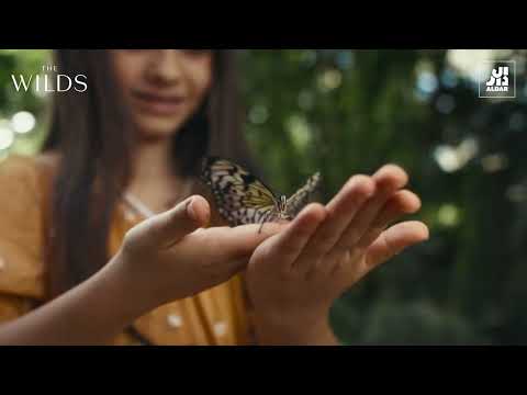 صورة مصغرة لفيديو العقار