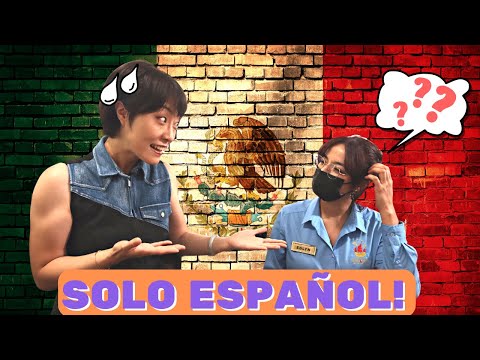Speaking ONLY Spanish for 24 hours in Mexico!