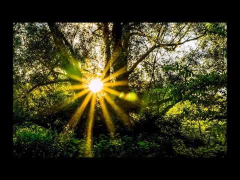 Gentleman & Johannes Oerding - Horizont