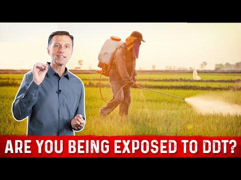 Top 5 Weight Loss Mistakes – Dr Berg