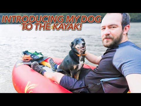 Preparing my DOG to go KAYAKING With Me! - Dry Land Trial Run...