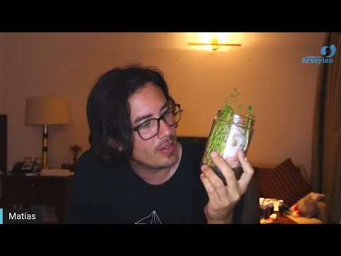 Day 280 WELLNESS Talk - Matias De Stefano - English Edit