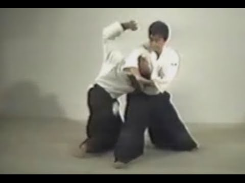 Aikido - 37 - Yokomenuchi Irimi   nage