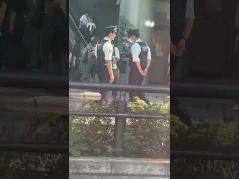 亜種 Ploceus cucullatus nigriceps の雄