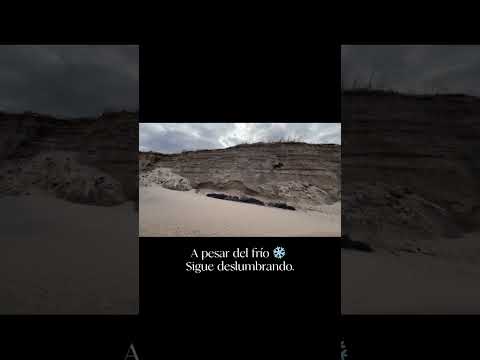 Playa de Jaureguiberry #invierno #playa #emprender #canelones #jaureguiberry #caminata #uruguay