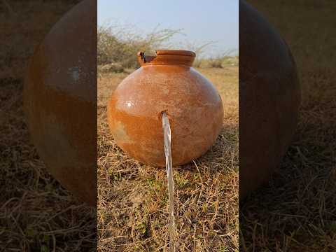 jungle survival bucket part-2