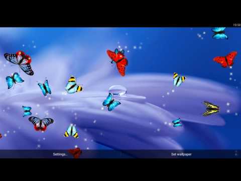 Butterfly Wallpaper Video