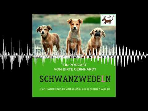 76 Gleitschirmfliegen mit Hund - Schwanzwedeln