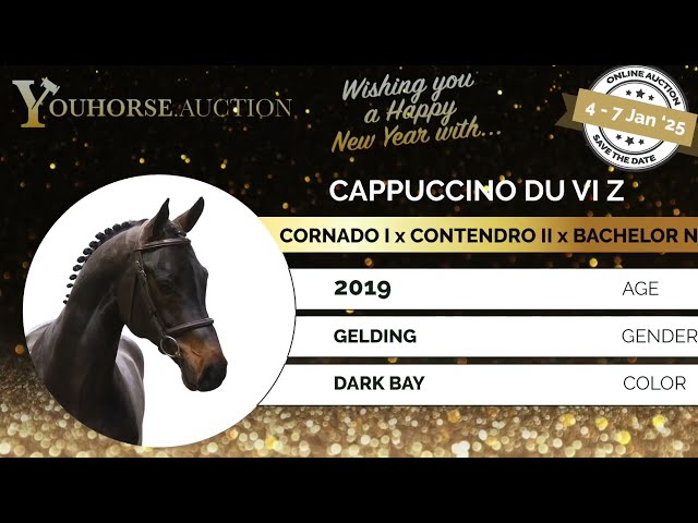 Cappuccino du Vi showvideo