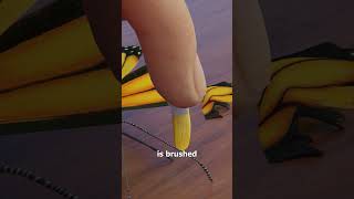 Download lagu How A Butterfly Wing Transplant Works 🤔 mp3 Download lagu How A Butterfly Wing Transplant Works 🤔 mp3