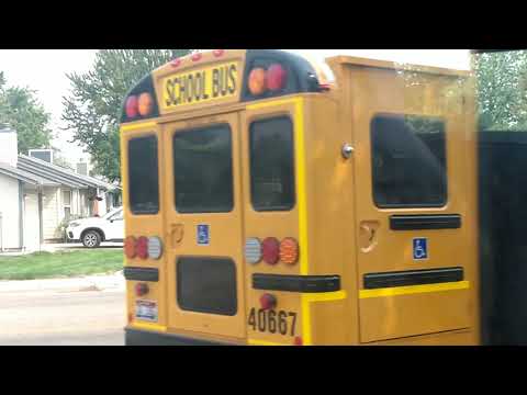 2 IC CE school buses # 667 and 623