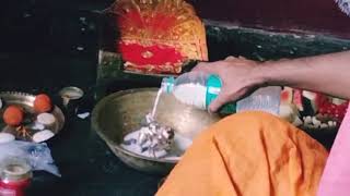 গোপাল দেব প্রতিষ্ঠা #tranding #gods