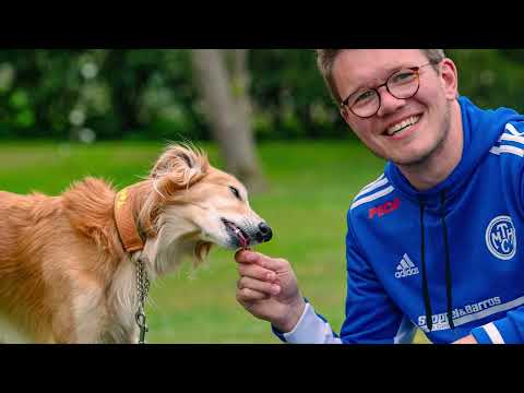 Bestechung - Trainiert mit Windhund Video #8