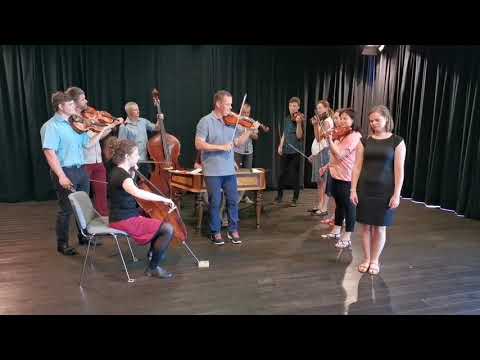 CM Kašava s primášem Petrem Králem / sobota 27. 6. v 15:30 / iFolklorní Strážnice 2020