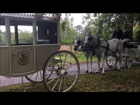 Wedding Carriage's for Hire