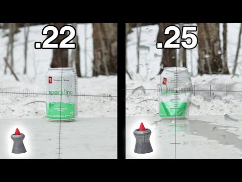 .22 vs .25 Comparison Test | Which Is the Best Caliber for Airguns/Airgun Hunting ....???