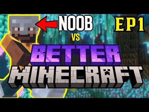 Adiar's EPIC Minecraft Transformation! Noob vs Pro
