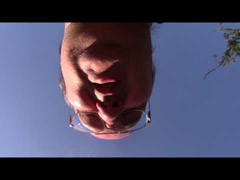 MongoTV_1413 - JEG HAR VÆRET I NETTO - Gåtur På Værste Tidspunkt Kl 16 og MEGET Varmt