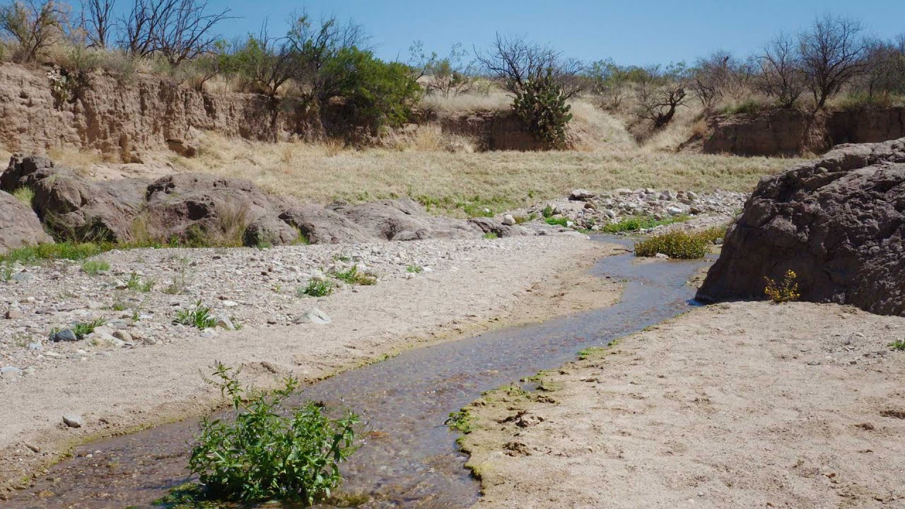 Water Conservation Conversation