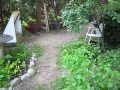 Cat Squirrel