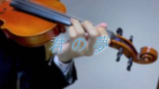 『君の夢』弦月藤士郎 feat. 珠乃井ナナ（violin cover）