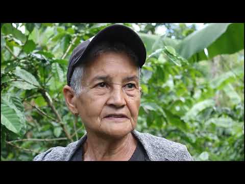 Martha: La cafetalera heroína yaterana