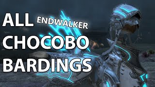 FFXIV: All Endwalker Chocobo Bardings