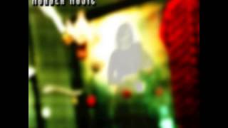 PROFESSIONAL MURDER MUSIC - The Reflection