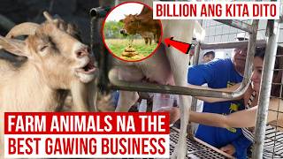 Farm Animals na Dapat mo Alagaan at Gawing Business | Billion ang Kita Dito | Mister Di