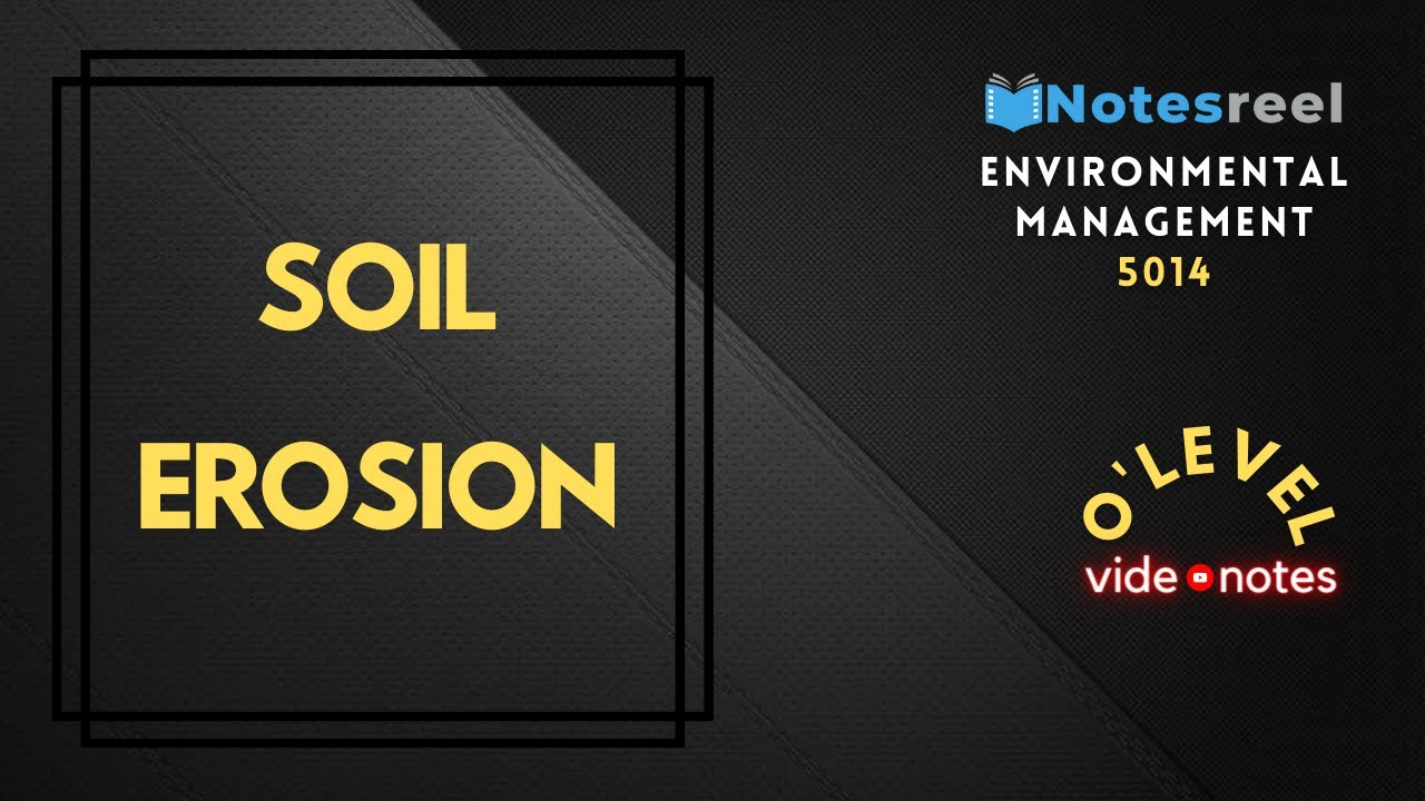 Soil erosion | O Level Notes Environmental Management 5014
