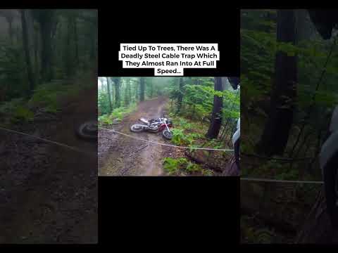 Terrifying Things Found Deep In The Woods #trending #shorts