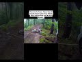 Terrifying Things Found Deep In The Woods #trending #shorts